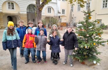 Der erste Weihnachtsbaum des Jahres 2024