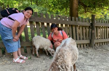 Tierische Abenteuer im Wildpark Ernstbrunn